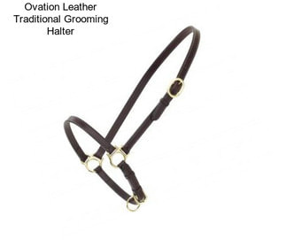 Ovation Leather Traditional Grooming Halter