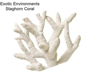 Exotic Environments Staghorn Coral