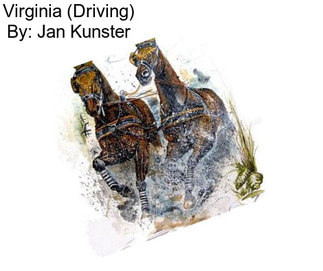 Virginia (Driving) By: Jan Kunster