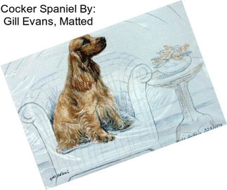 Cocker Spaniel By: Gill Evans, Matted