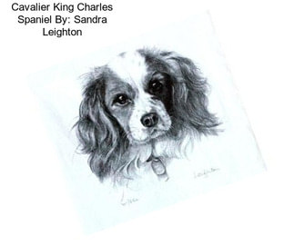 Cavalier King Charles Spaniel By: Sandra Leighton