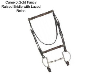 CamelotGold Fancy Raised Bridle with Laced Reins