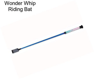 Wonder Whip Riding Bat