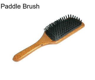 Paddle Brush