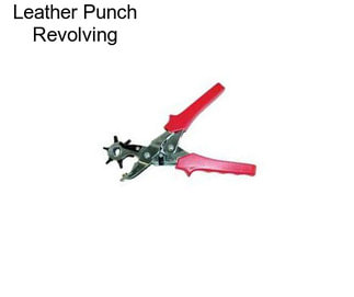 Leather Punch Revolving
