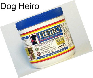 Dog Heiro