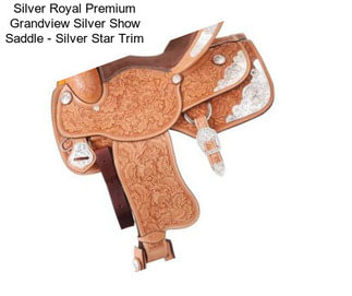 Silver Royal Premium Grandview Silver Show Saddle - Silver Star Trim