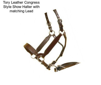 Tory Leather Congress Style Show Halter with matching Lead