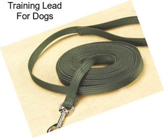 Training Lead For Dogs