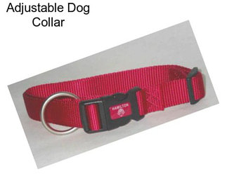 Adjustable Dog Collar