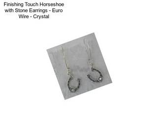 Finishing Touch Horseshoe with Stone Earrings - Euro Wire - Crystal