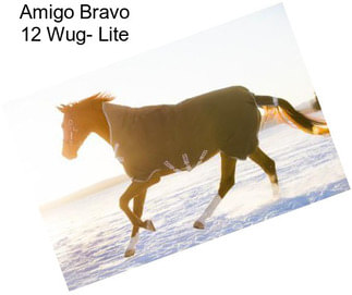 Amigo Bravo 12 Wug- Lite
