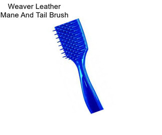Weaver Leather Mane And Tail Brush