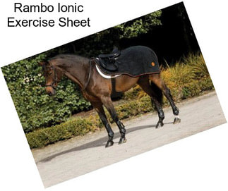 Rambo Ionic Exercise Sheet