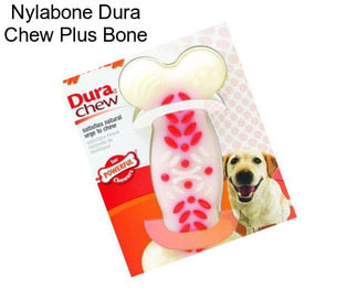 Nylabone Dura Chew Plus Bone