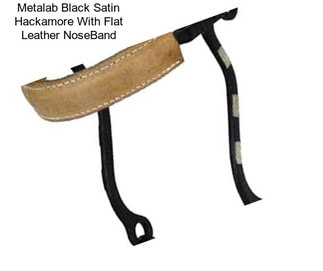Metalab Black Satin Hackamore With Flat Leather NoseBand