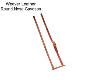 Weaver Leather Round Nose Caveson