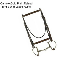 CamelotGold Plain Raised Bridle with Laced Reins