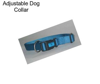 Adjustable Dog Collar