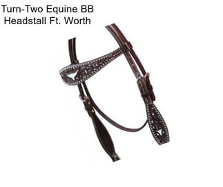 Turn-Two Equine BB Headstall Ft. Worth