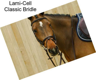 Lami-Cell Classic Bridle