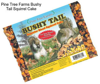 Pine Tree Farms Bushy Tail Squirrel Cake