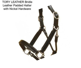 TORY LEATHER Bridle Leather Padded Halter with Nickel Hardware