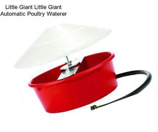 Little Giant Little Giant Automatic Poultry Waterer