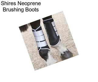 Shires Neoprene Brushing Boots