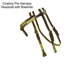 Cowboy Pro Harness Headstall with Rawhide