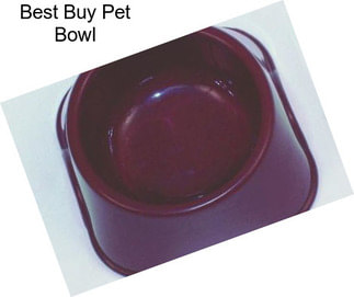 Best Buy Pet Bowl