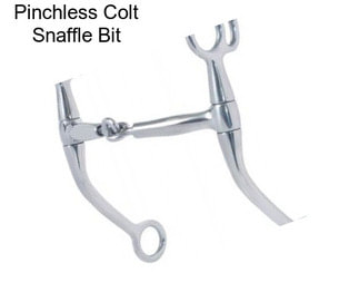 Pinchless Colt Snaffle Bit