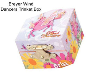 Breyer Wind Dancers Trinket Box