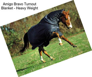 Amigo Bravo Turnout Blanket - Heavy Weight