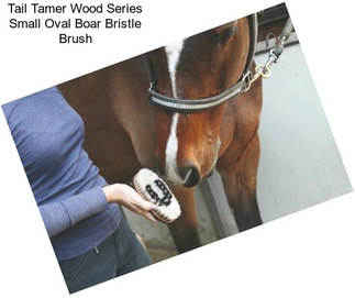 Tail Tamer Wood Series Small Oval Boar Bristle Brush