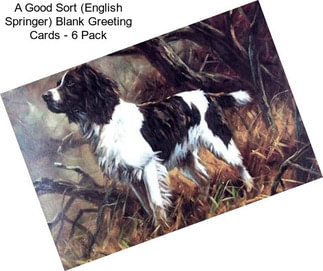 A Good Sort (English Springer) Blank Greeting Cards - 6 Pack