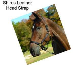 Shires Leather Head Strap