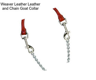 Weaver Leather Leather and Chain Goat Collar