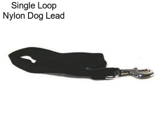 Single Loop Nylon Dog Lead