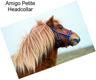 Amigo Petite Headcollar