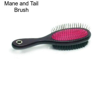 Mane and Tail Brush