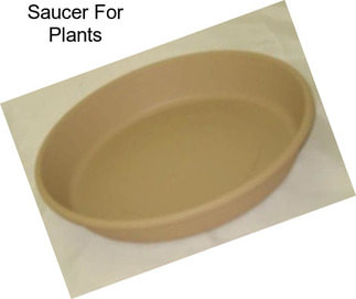 Saucer For Plants