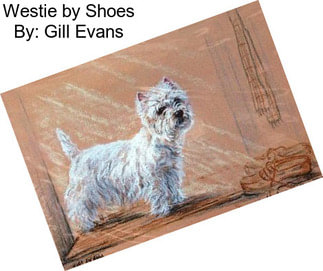 Westie by Shoes By: Gill Evans