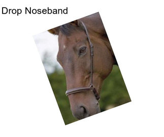 Drop Noseband