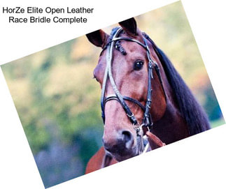 HorZe Elite Open Leather Race Bridle Complete