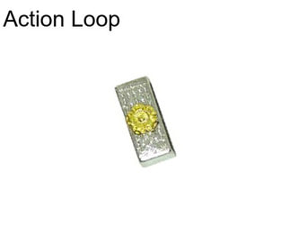 Action Loop