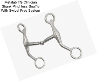 Metalab FG Clinician Shank Pinchless Snaffle With Swivel Free System