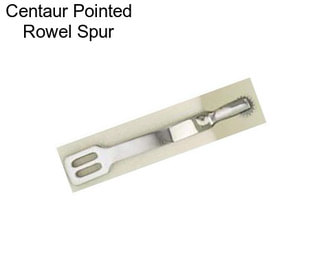 Centaur Pointed Rowel Spur