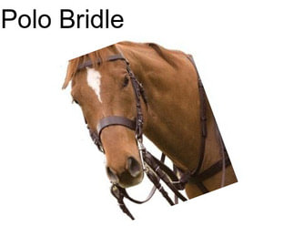 Polo Bridle