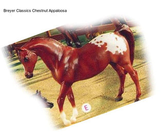 Breyer Classics Chestnut Appaloosa